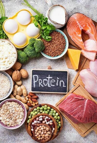 Protein In Your Diet